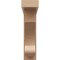 Ekena Millwork 4"W x 16"D x 16"H Thin Alma Rough Cedar Woodgrain TimberThane Corbel, Primed Tan CORUR04X16X16ALMRCPR - alternate 5